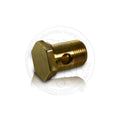 Polished Brass Banjo Bolt - 3/8" BSP thread