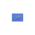 Spring | AUD 4417